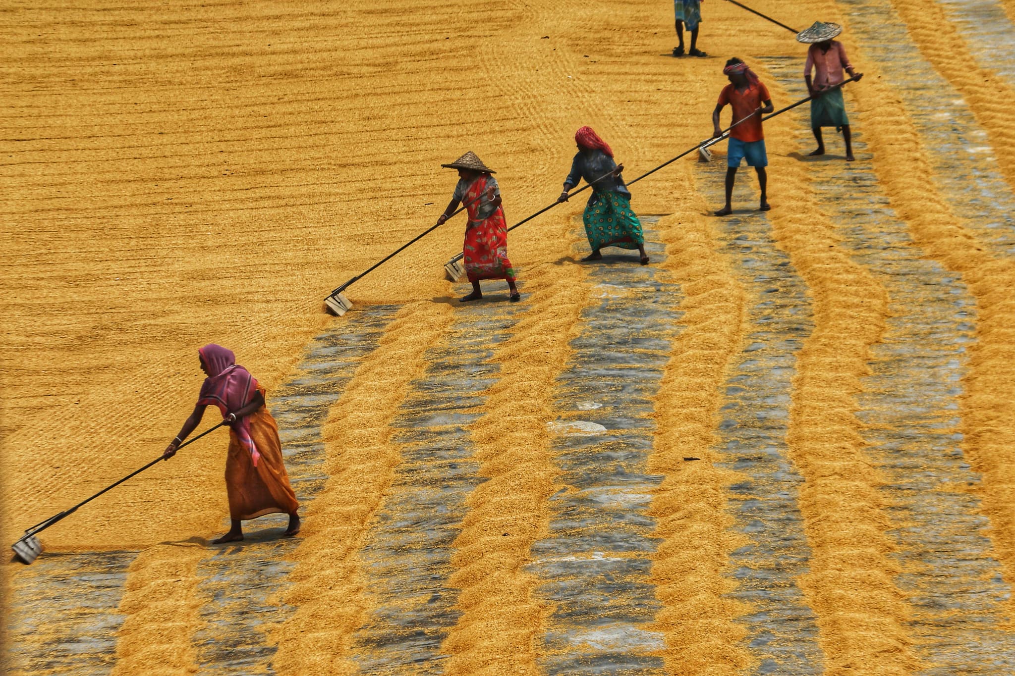 India Agrochemical Market: June 30 Duty Waiver Expiry Raises Input Costs for Domestic Formulators
