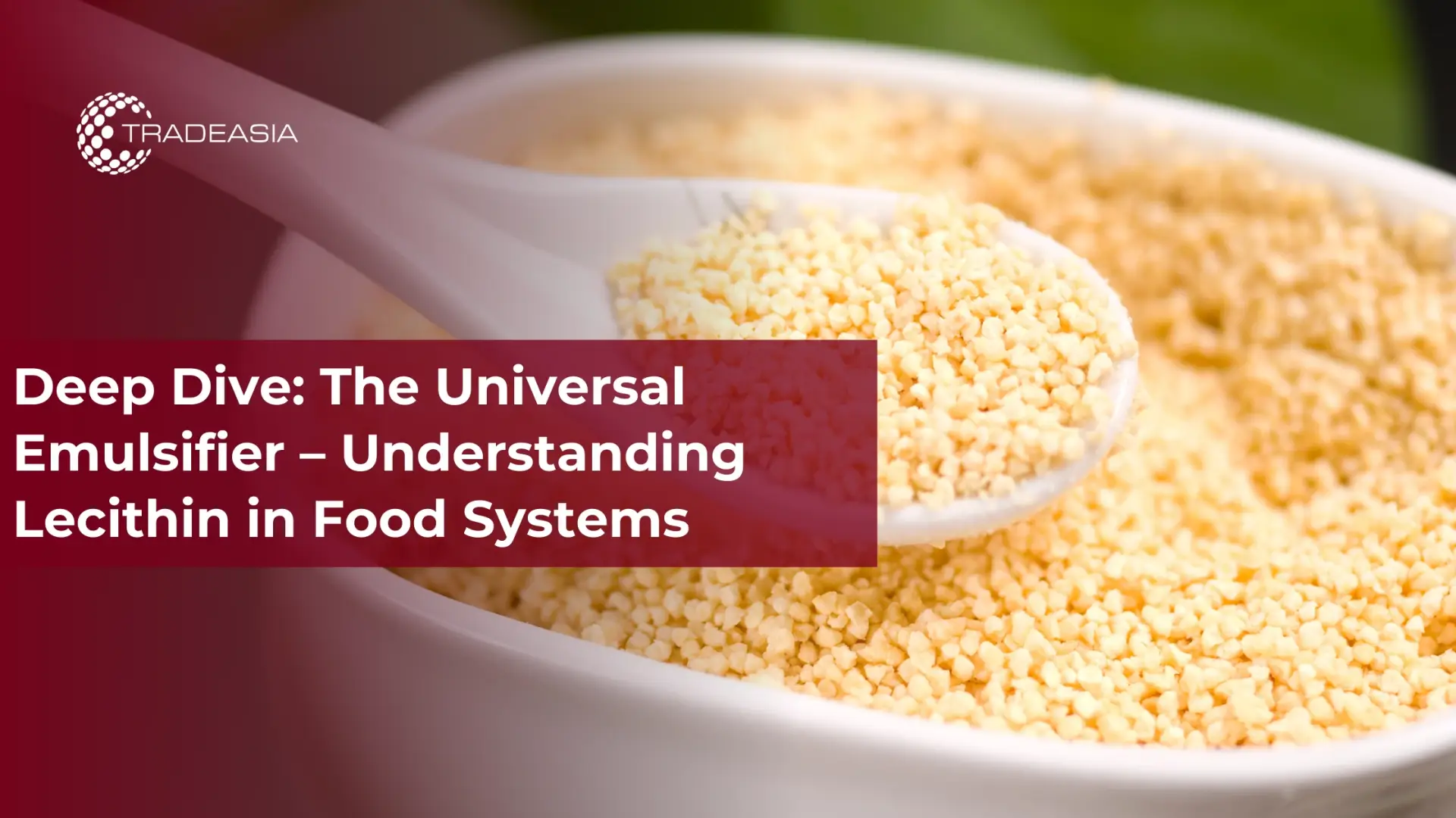 Deep Dive: The Universal Emulsifier – Understanding Lecithin in Food Systems