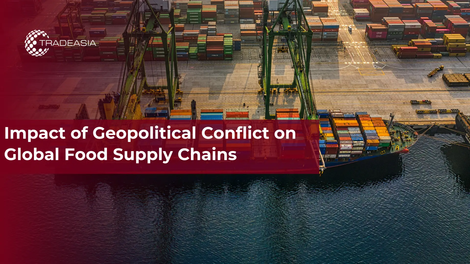 Impacto del conflicto geopolítico en las cadenas mundiales de suministro de alimentos