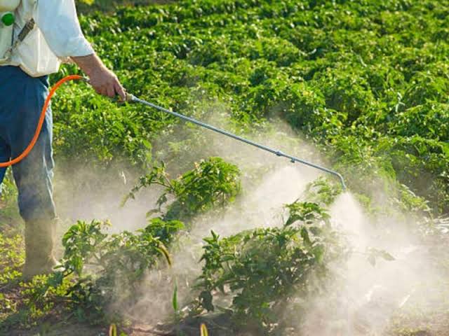 Productos químicos para la protección de cultivos: las decisiones finales antidumping de la UE se esperan para julio