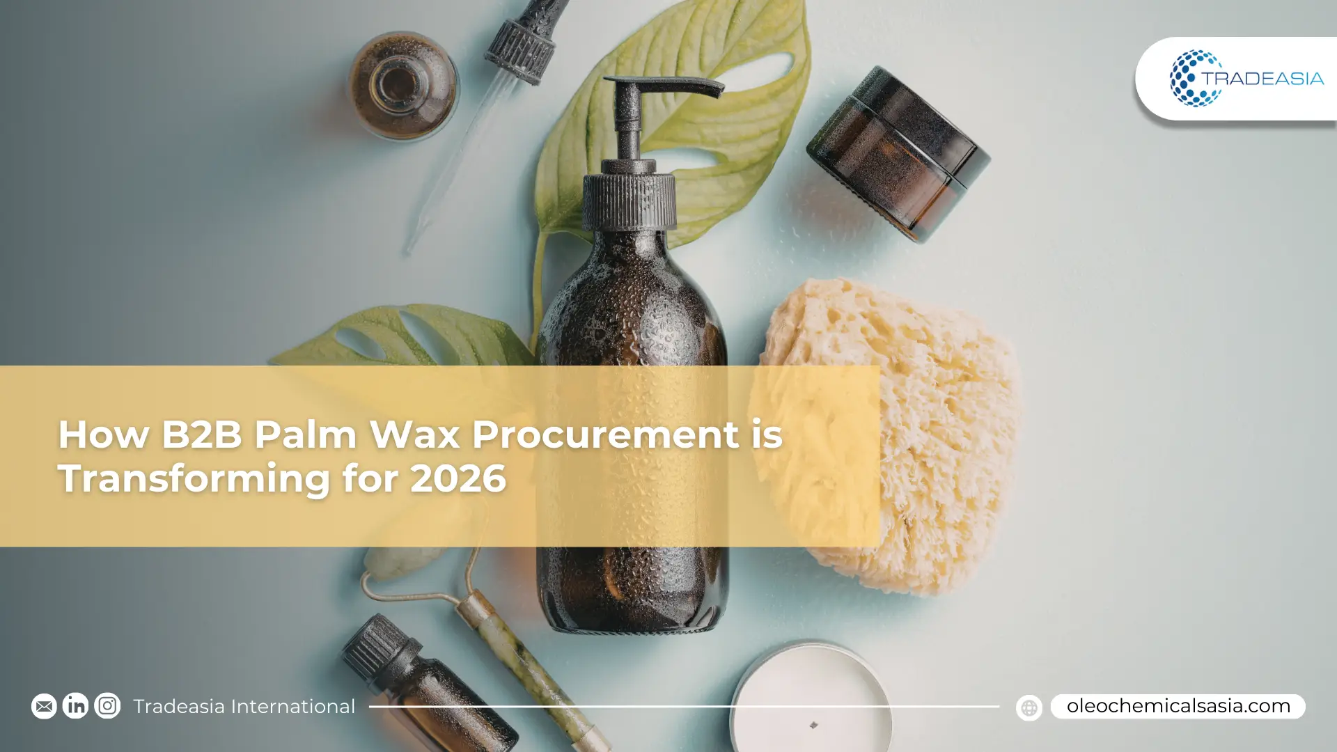El giro de la química ecológica: cómo se está transformando la adquisición de cera de palma B2B para 2026