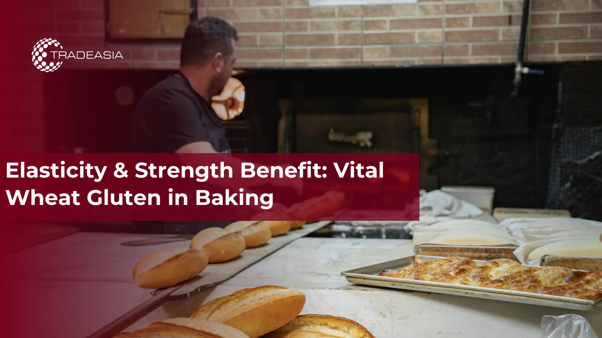 Beneficio de elasticidad y fuerza: el gluten de trigo es vital para hornear