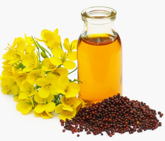 Crude Canola Oil