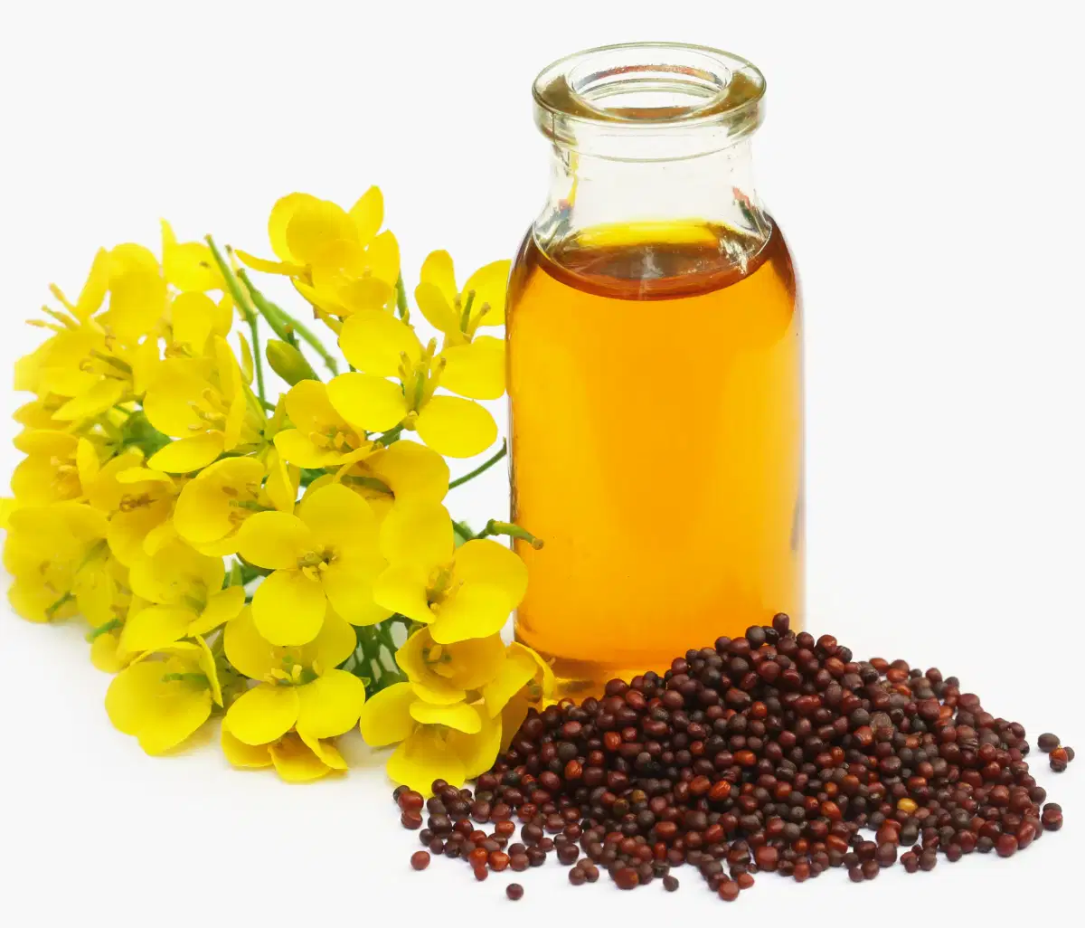 Aceite crudo de canola